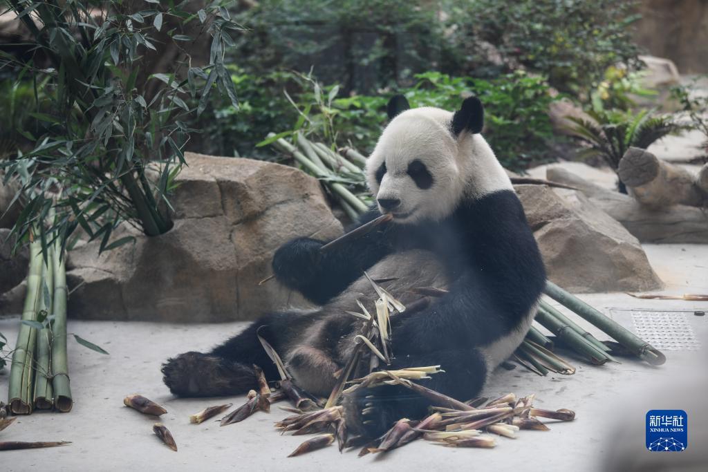 极速百家家乐是玩钱吗